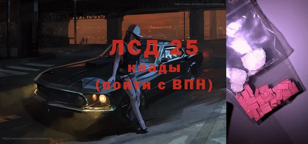 таблы Гусев