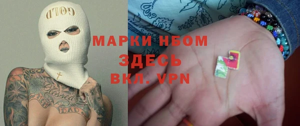 сатива Дмитриев