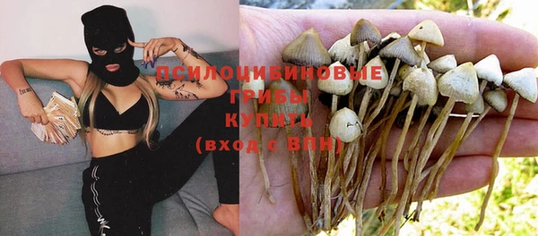 PSILOCYBIN Дмитровск