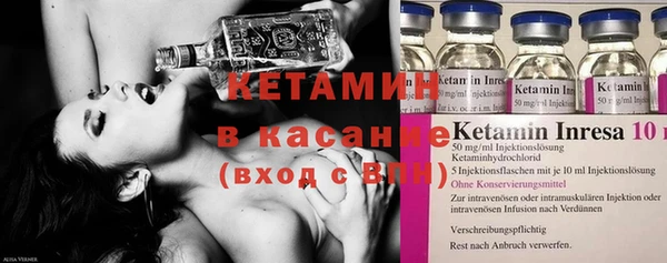 сатива Дмитриев